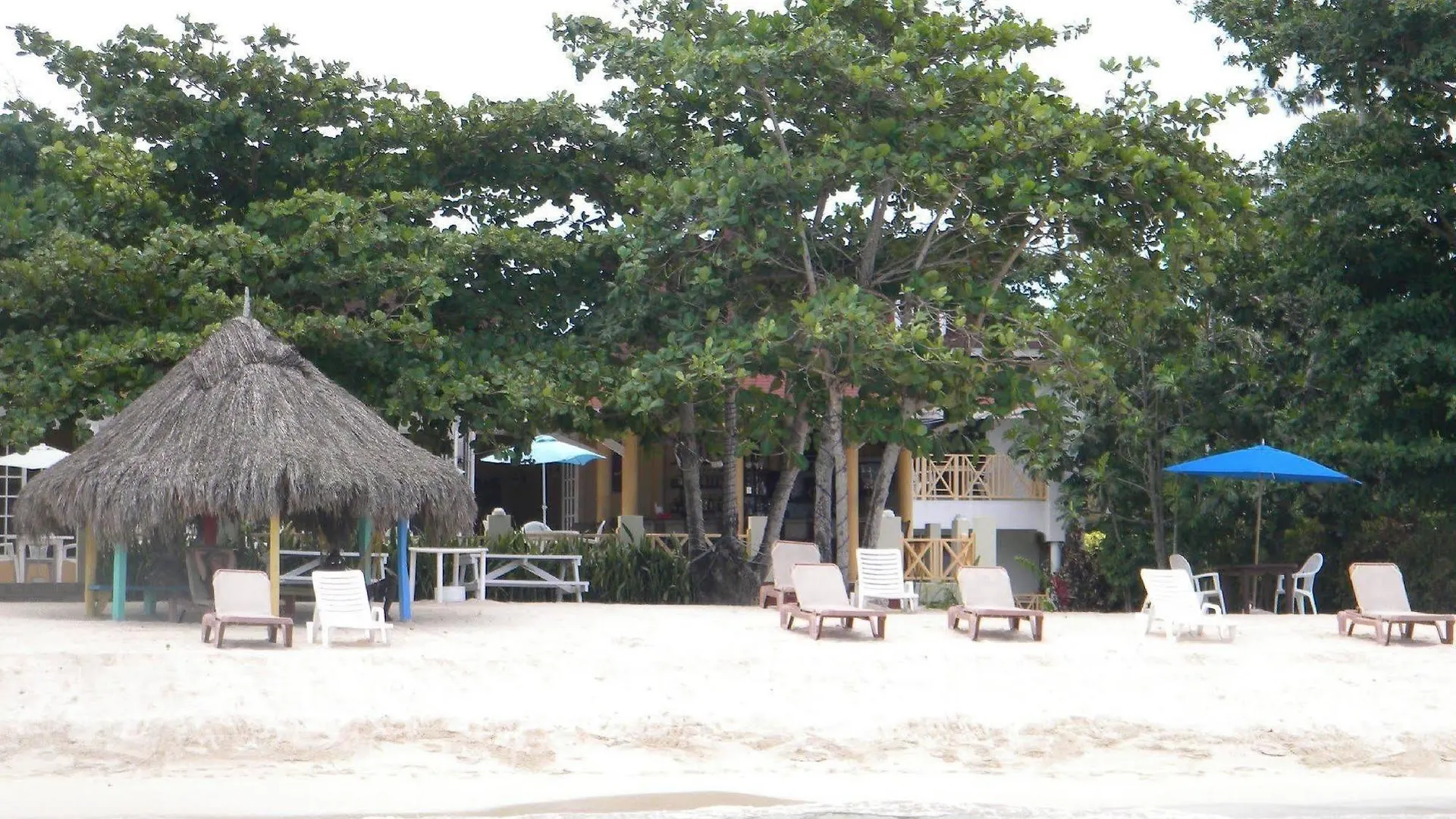 Hotell Coral Seas Beach Negril